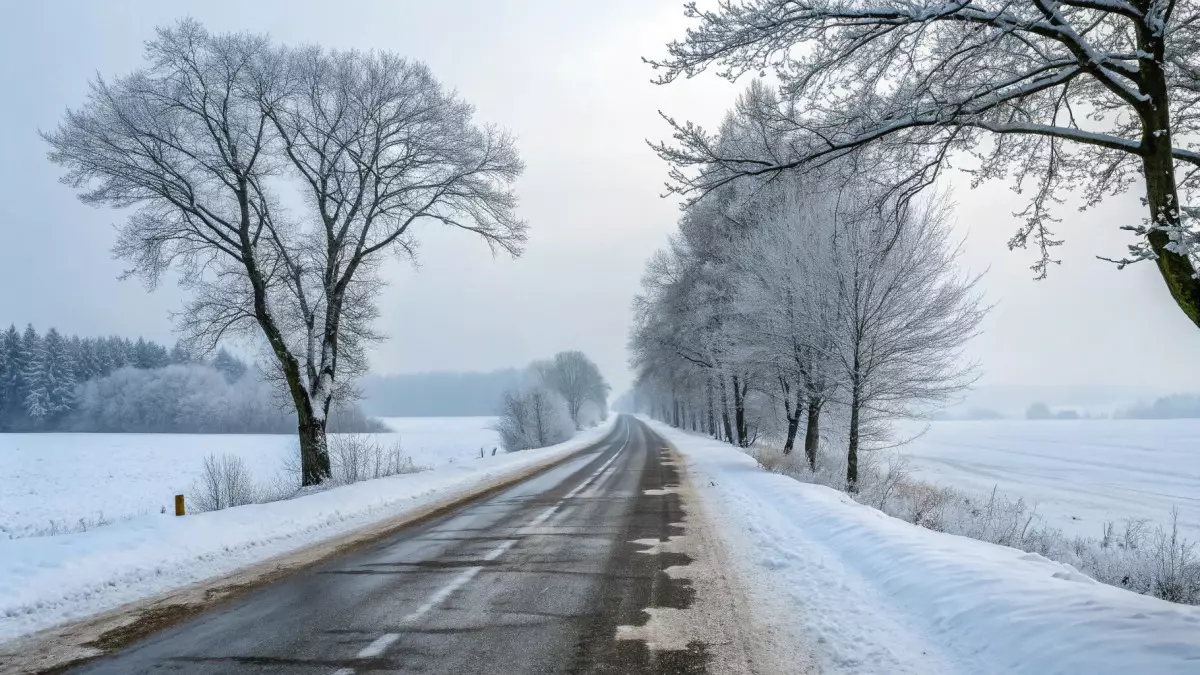 Полиция обратилась с призывом к казахстанским автомобилистам