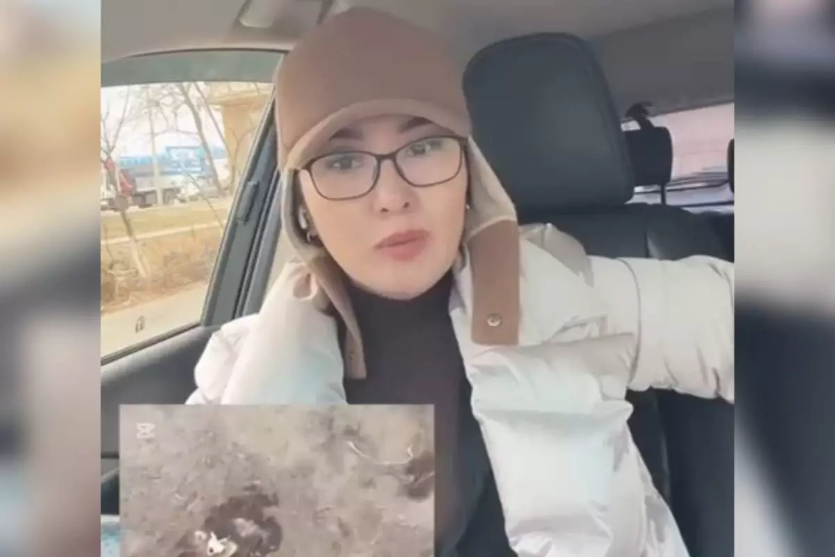 Атырауда мал қырылып жатыр, ал жауапты шенеуніктер үнсіз отыр