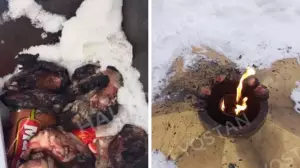  Мәңгілік алауға ет пісірген адам ұсталды