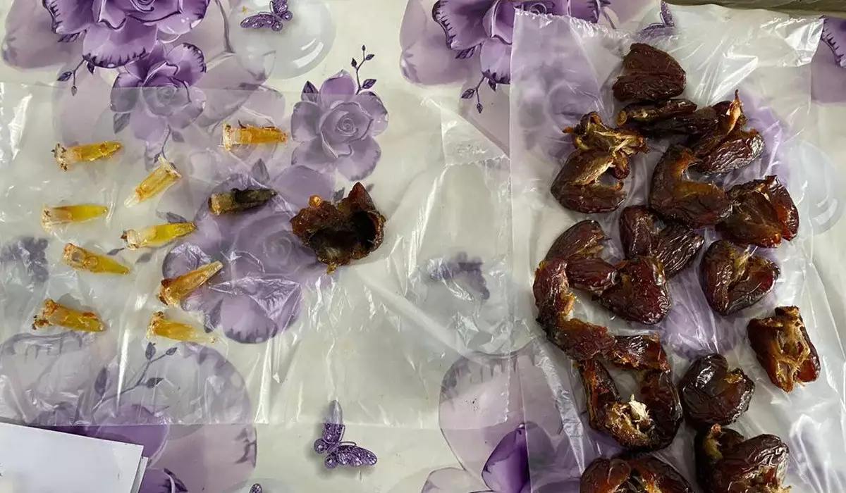 Спрятали в финиках: попытку проноса наркотиков пресекли в колонии в Павлодаре