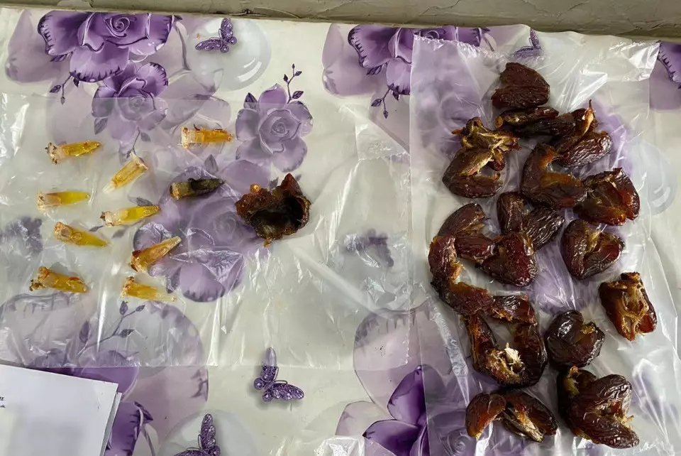 Финики с начинкой из наркотиков пытались передать в павлодарскую колонию