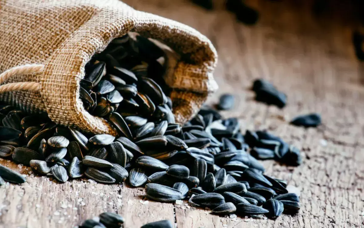 Привычка постоянно грызть семечки зубами оказалась опасной - новости на Lada.kz 11.12.2025