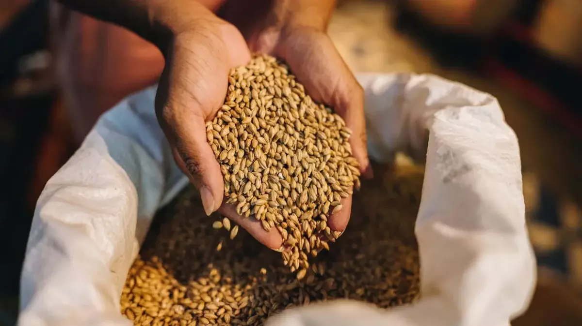 Қазақстан өткен жылы Иранға 500 мың тоннадан астам арпа экспорттады