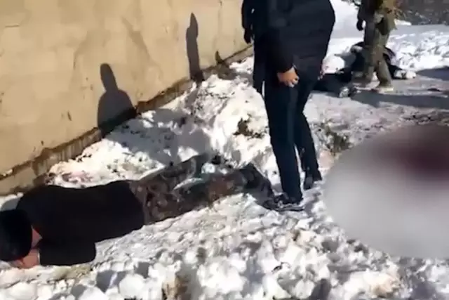 Бір үйір жылқыны айдап әкетіп, сойып тастаған: Жетісуда ұрлық жасаған қылмыстық топ ұсталды