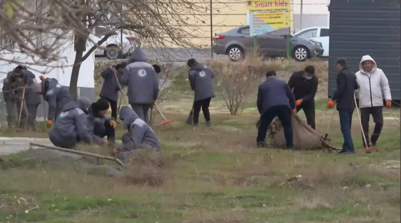 Шымкентте тазалық акциясы өтті