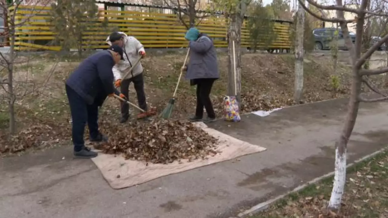 Партия Amanat проводит субботники в Шымкенте