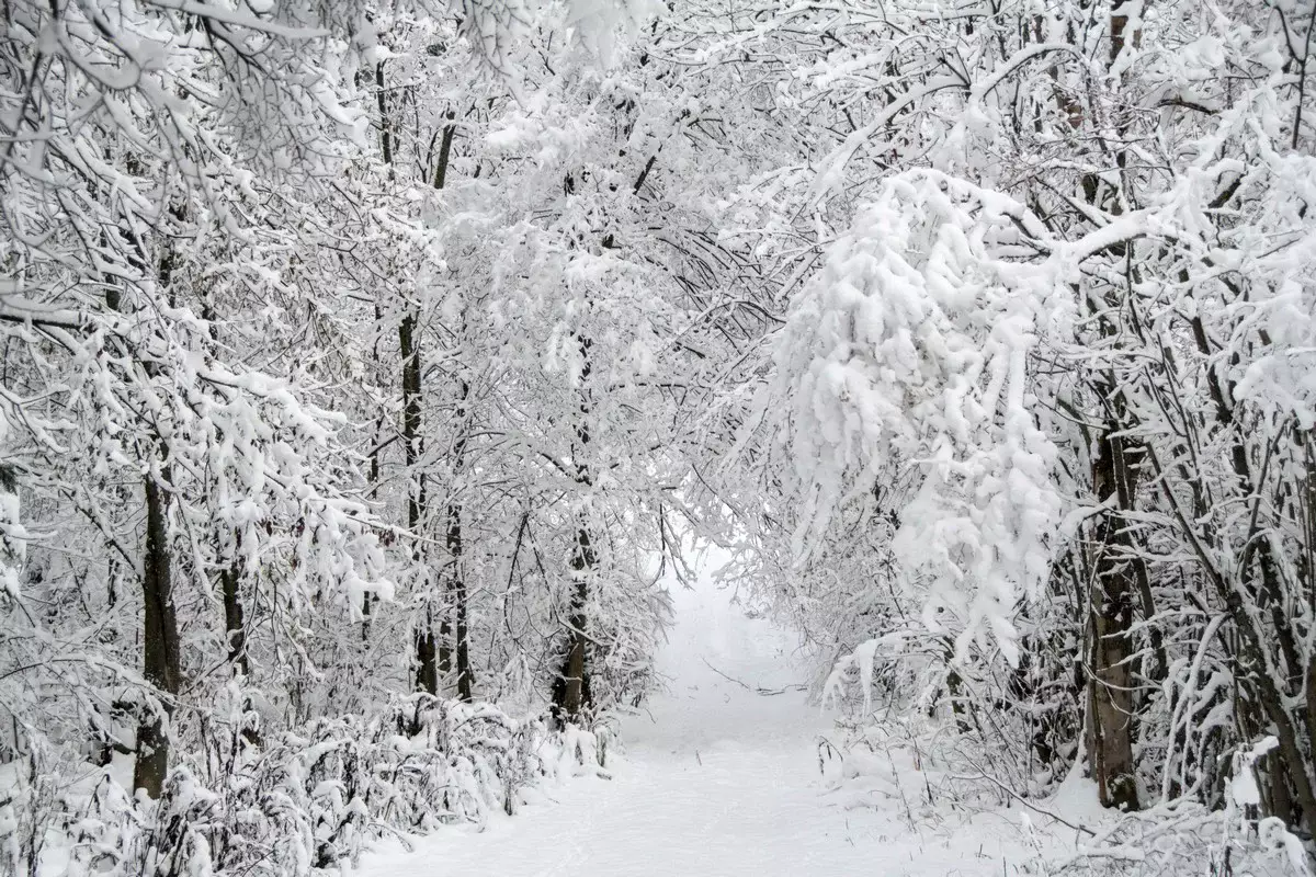 Метели и гололед: штормовое предупреждение объявили в Казахстане на 12 декабря