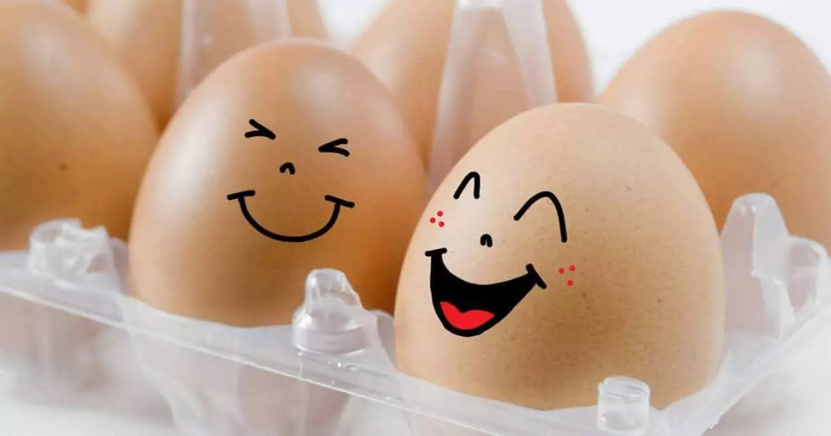  Қазақстан аумағына сырттан тауық жұмыртқаларын әкелуге тыйым салынды 