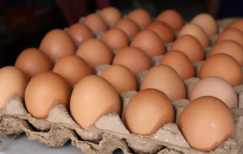 Казахстан запретил импорт свежих куриных яиц
