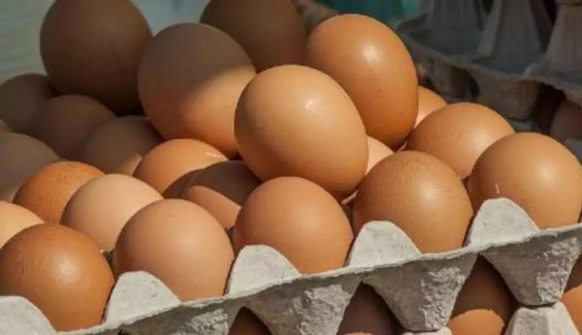 Қазақстан жұмыртқа импортын бір айға тоқтатты