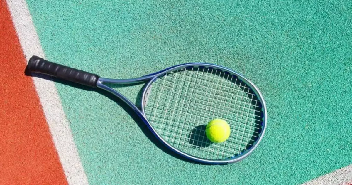  Француз теннисшісі 20 жылға спорттан шеттетілді 