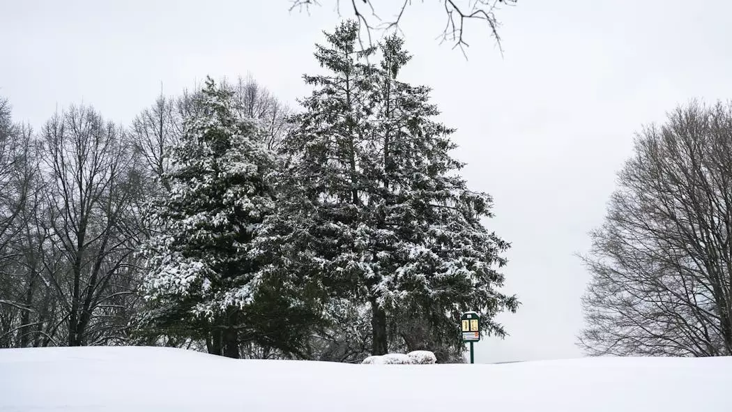 12 желтоқсанда боран мен екпінді жел соғып, көктайғақ болады