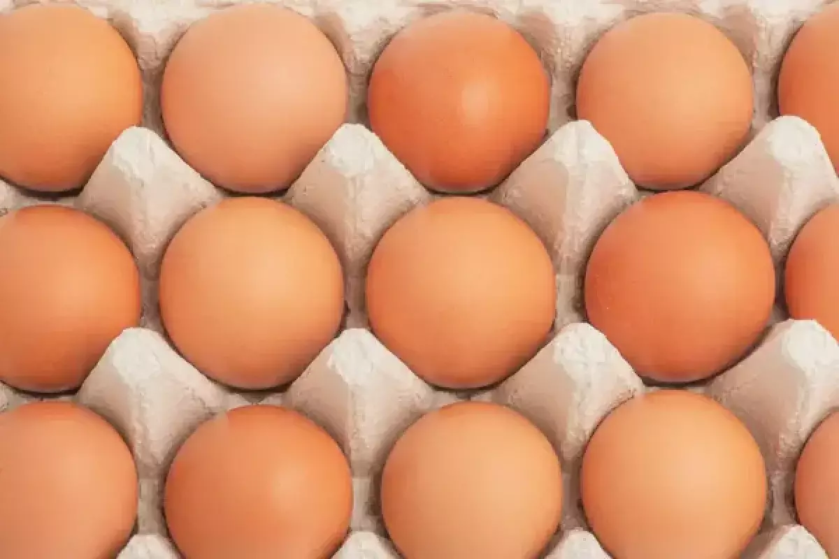 В Казахстане ввели временный запрет на ввоз куриных яиц