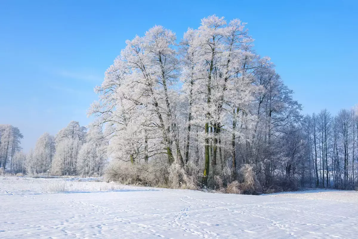 Морозы отпускают: прогноз погоды в Казахстане на 12 декабря