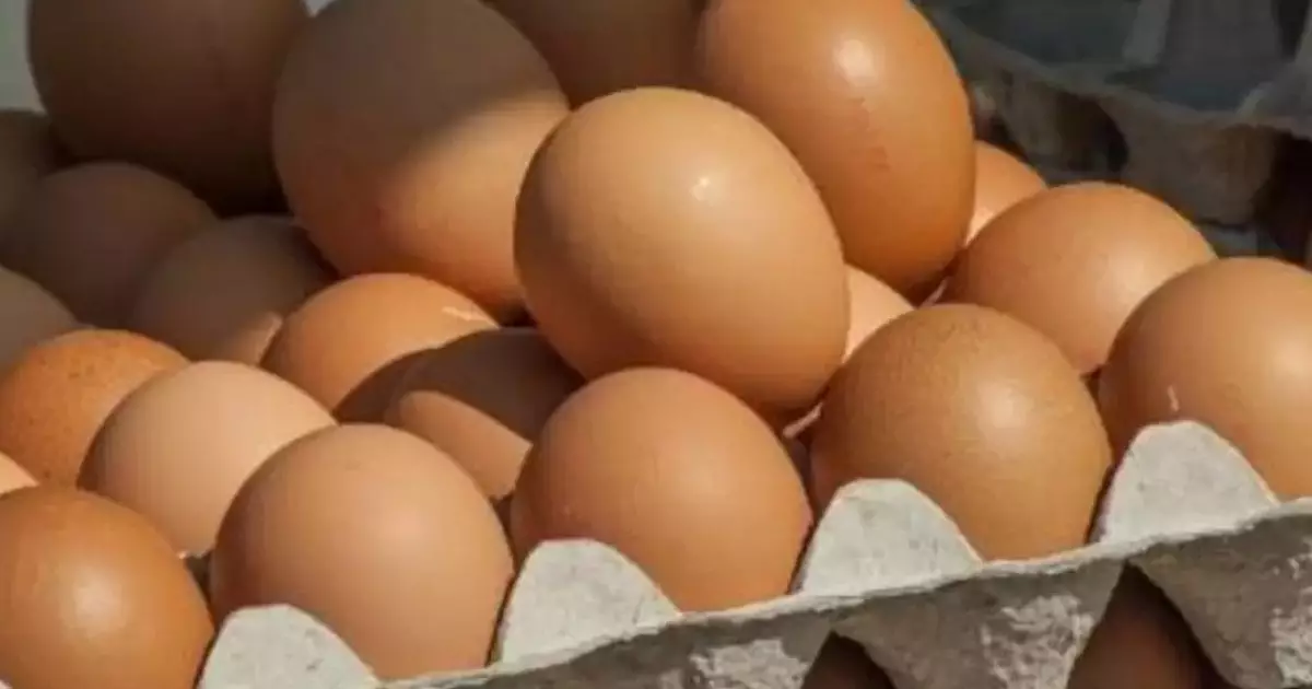  Қазақстан жұмыртқа импортын бір айға тоқтатты 