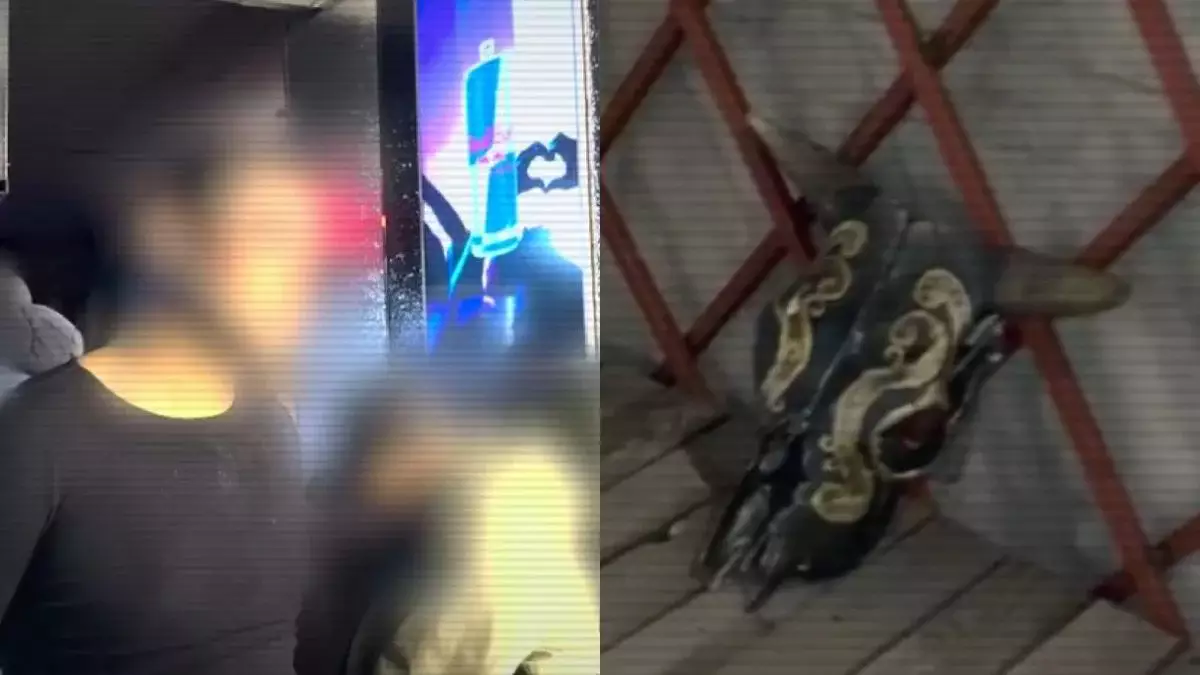 STOP-трафик: в МВД подвели итоги ОПМ (видео)