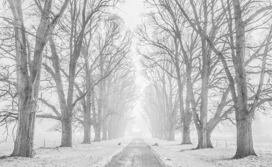 Трассу закрыли из-за непогоды в области Абай