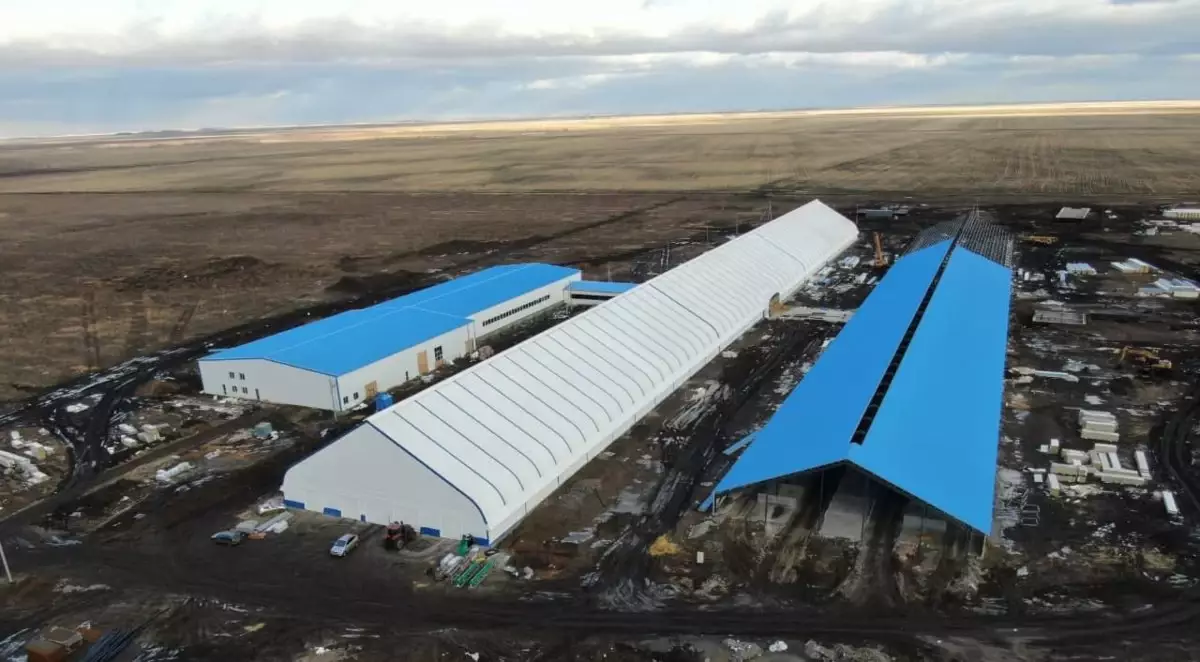 Молочный хаб страны: в СКО завезли партию высокопродуктивных коров из Европы