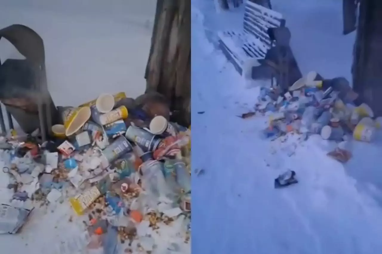 Семейдегі демалыс аллеясы қоқыс алаңына айналды: тұрғындар әкімдіктен нақты шара күтуде