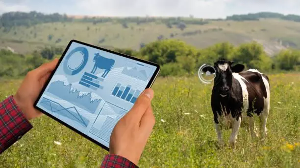 Қазақстанда енді төрт түлік мал да цифрлық бақылауда болады