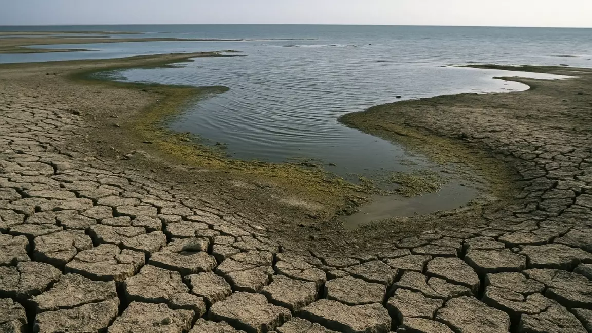 Президент Каспий және Арал мәселесін көтерді