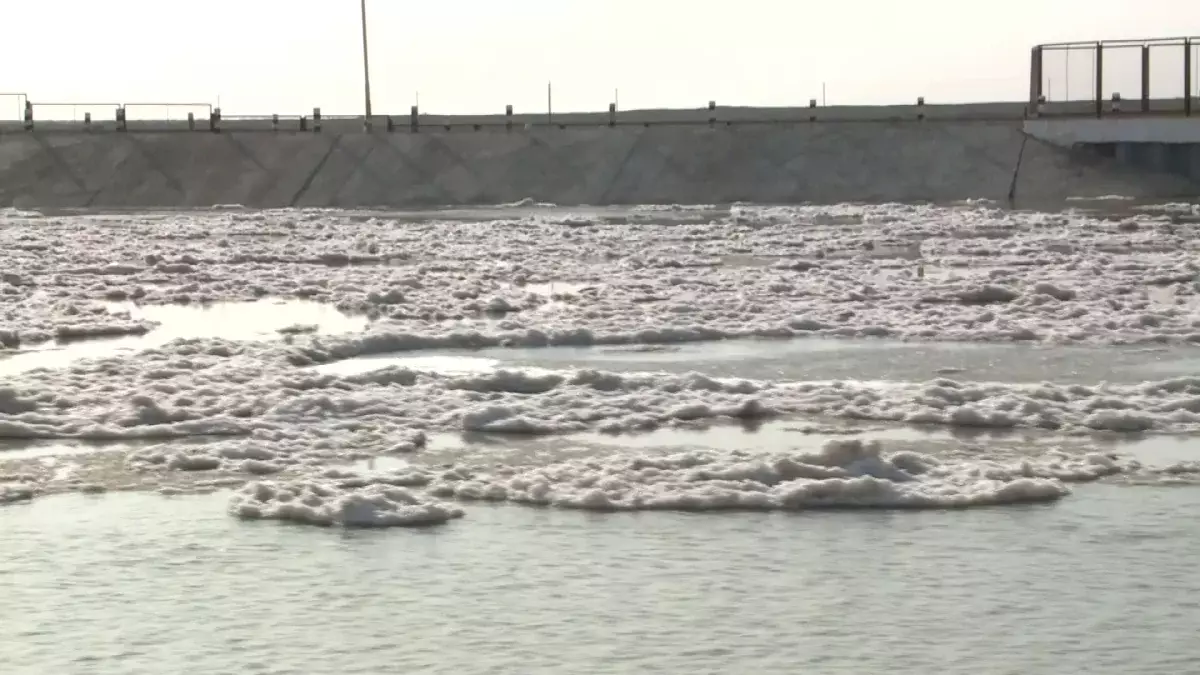 Мемлекет басшысы Арал және Каспийдегі экологиялық проблемаларды атап өтті