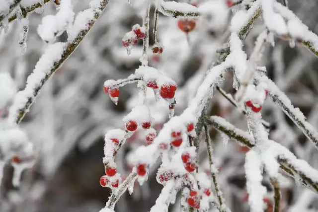 Демалыс күндері ауа -райы қандай болады?