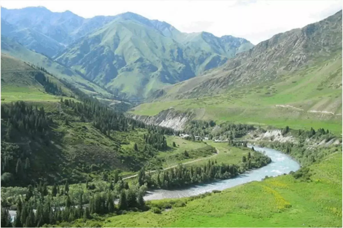 Жетісу ұлттық паркі аумағында олигарх жеке үй салған: әкім тексеріс жүргізілетінін айтты