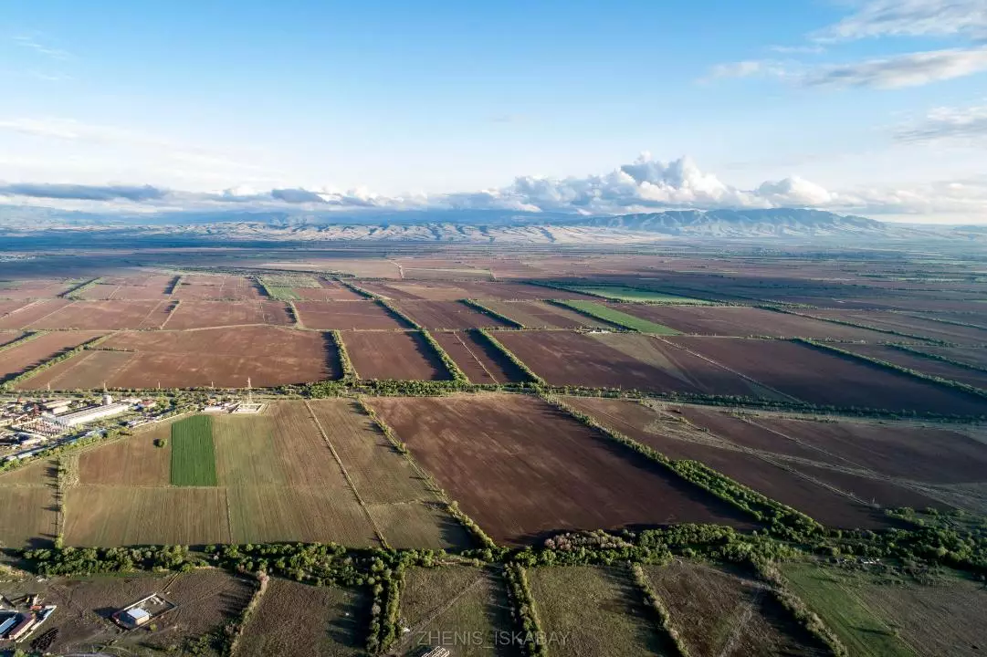Выявлено 1,3 млн га неиспользуемых земель в области Жетысу