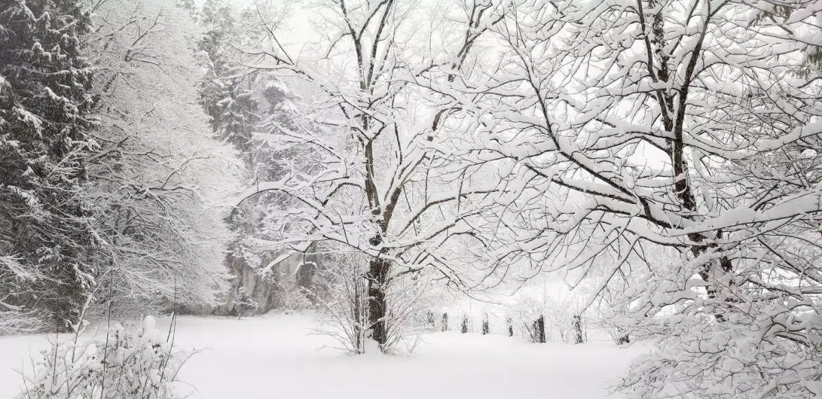 Снег, метель и гололед: штормовое предупреждение объявлено почти во всех регионах РК
