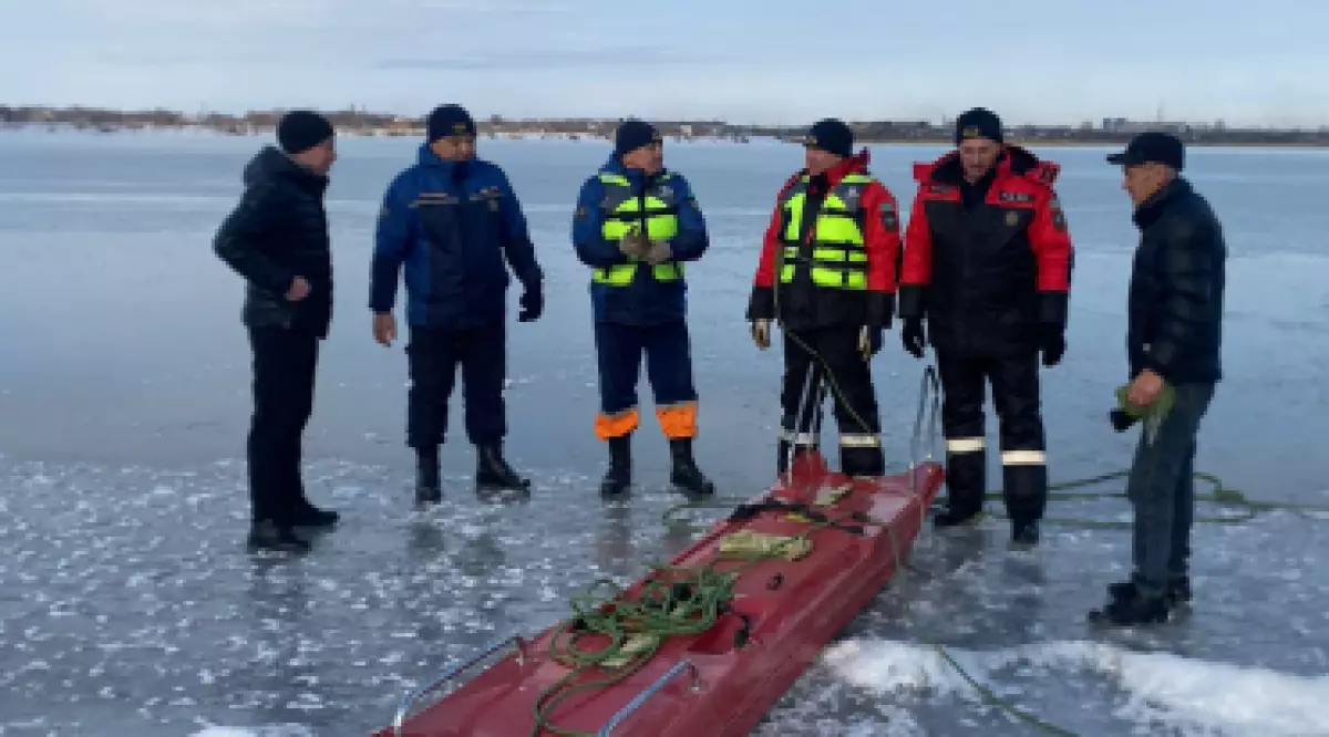 Одинокий лебедь не может улететь на юг: казахстанцы призывают спасти птицу в Караганде