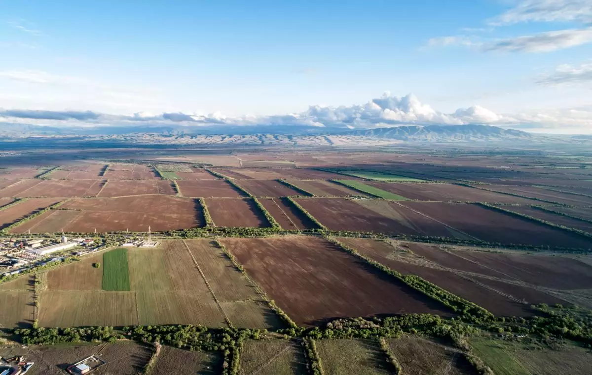 Жетісуда соңғы үш жылда пайдаланылмаған 712 мың га жер қайта айналымға енгізіліп, тағы 603 мың га мемлекетке қайтарылды