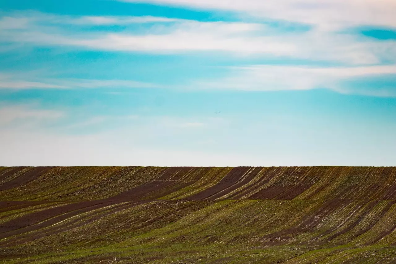 Почти 1 тыс. га сельхозземель вернули государству в Кызылординской области