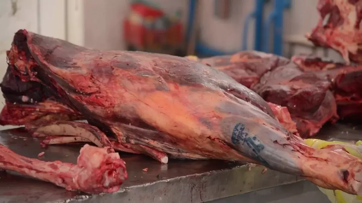 В Казахстане ужесточат наказание за продажу мяса не прошедшего ветконтроль