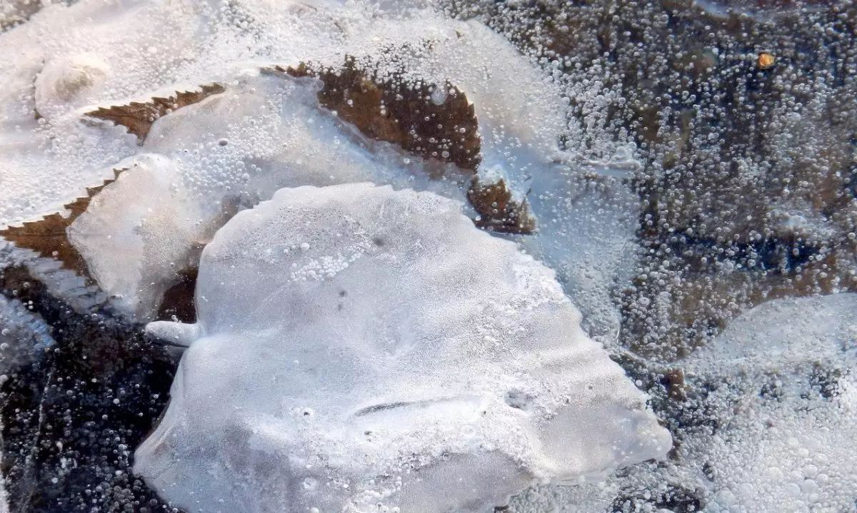 Степь покрылась льдом в Мангистауской области (ВИДЕО)