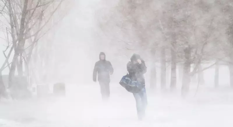 Шторм накроет Казахстан: метели и ветер до 30 м/с