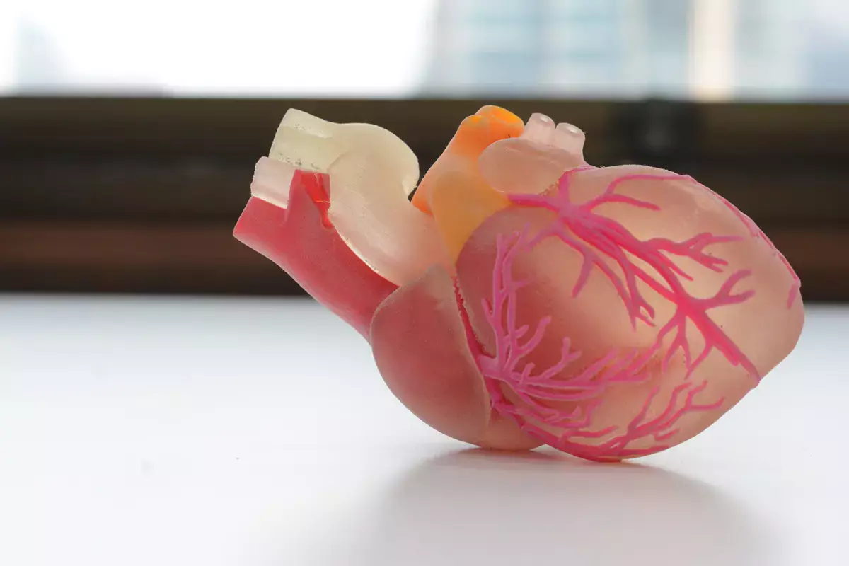 «Пластыри для сердца», которые оживляют клетки: ученые сделали невозможное - новости на Lada.kz 12.12.2025