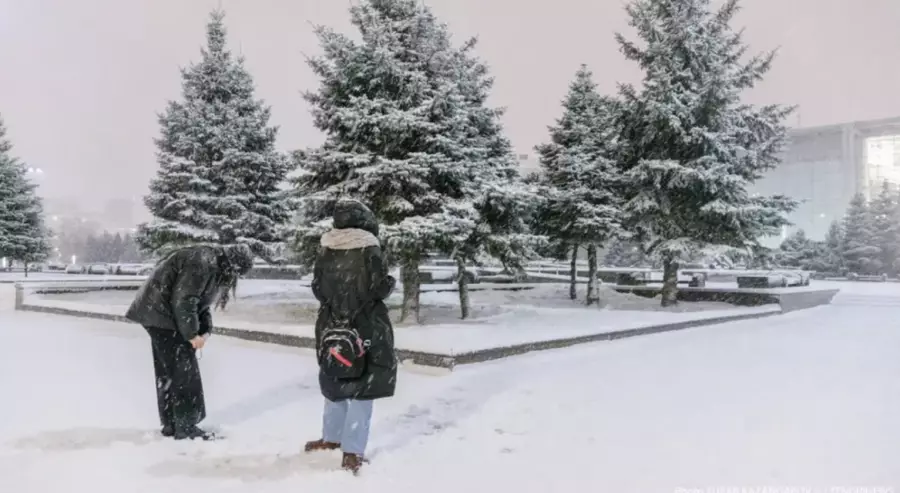 Күн жылиды: бүгін ауа райы қандай болады?