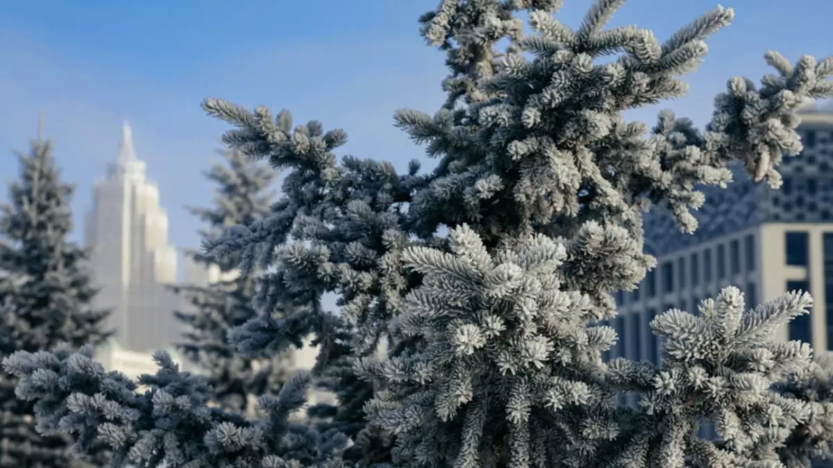 13 желтоқсанда ауа райы қандай болады?