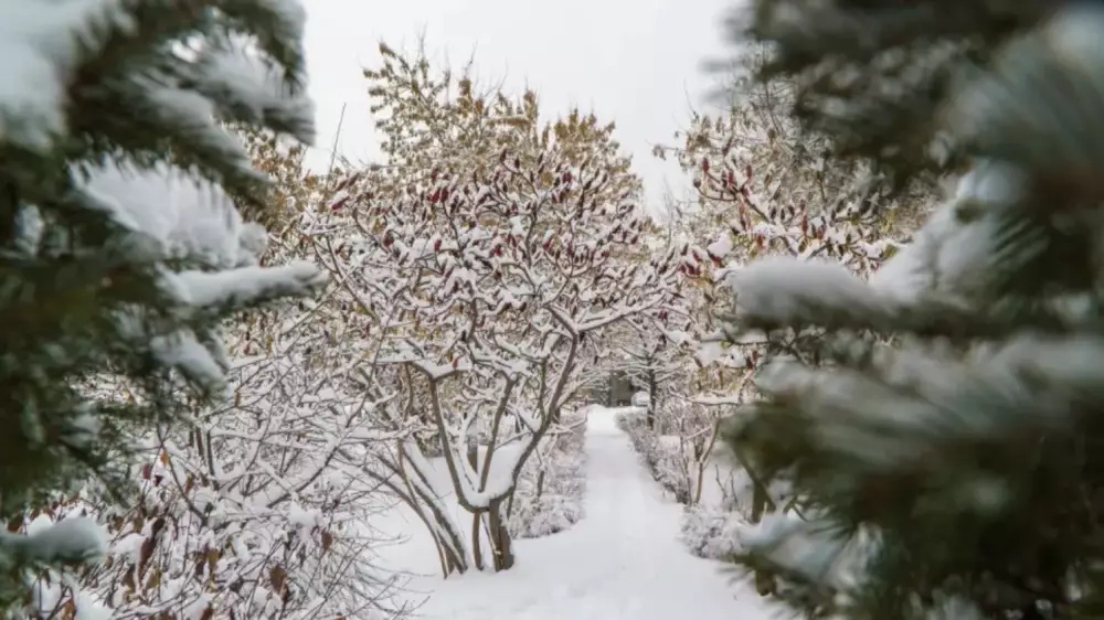 Күн жылиды: 13 желтоқсанда ауа райы қандай болады?