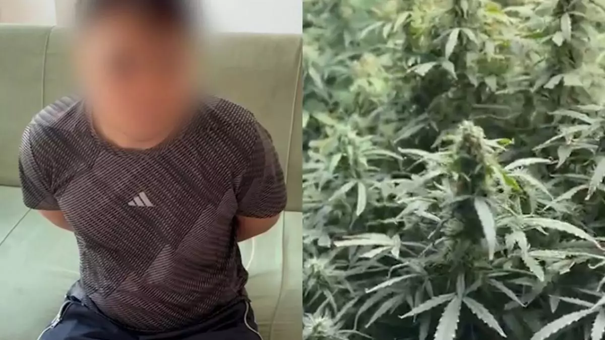 СОБРовец на отдыхе обнаружил наркофитолабораторию в Алматы