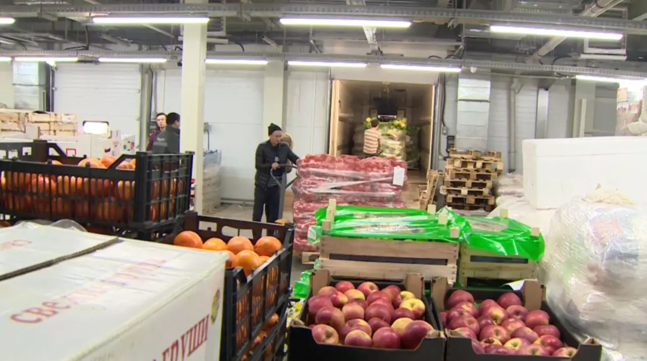 Еліміздегі агросекторда қойма жеткілікті   