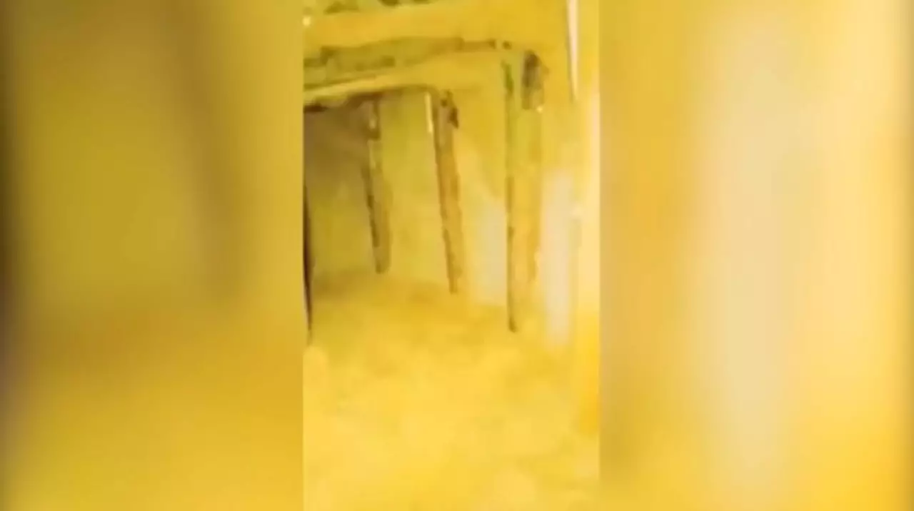 Мигранты проникли в Польшу через туннель