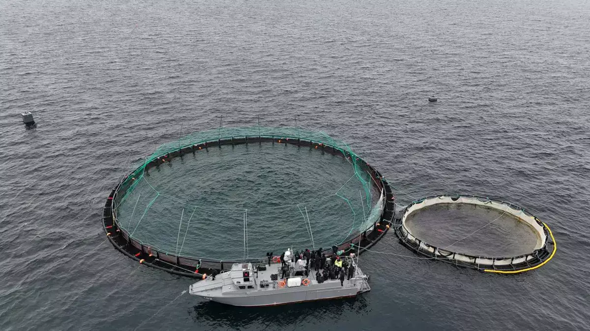 В Мангистау реализуется первый в Центральной Азии проект морской аквакультуры - новости на Lada.kz 13.12.2025