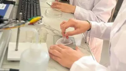 Ғалымдар пестицидтерді анықтаудың жедел әдісін ойлап тапты