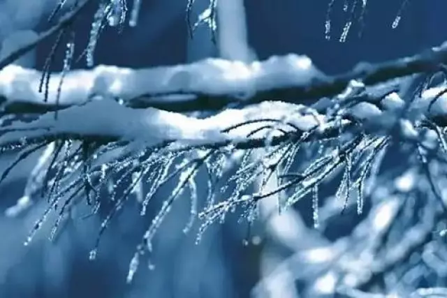 Қатты жел, көктайғақ: Демалыс күні ауа райы қандай болады