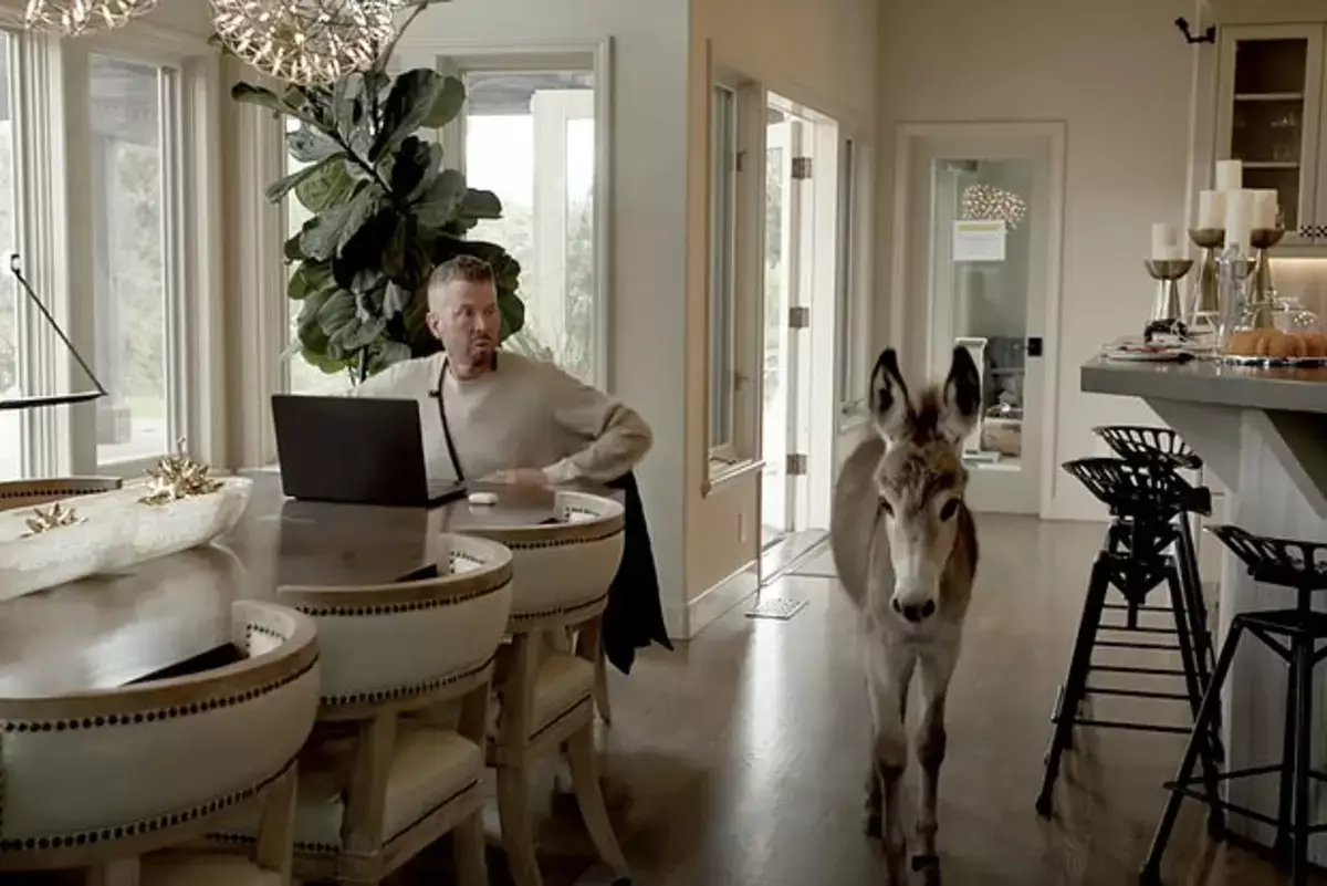 Американец бросил успешную карьеру ради помощи ослам - новости на Lada.kz 13.12.2025