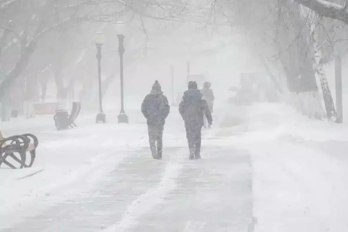 Штормовые предупреждения: прогноз погоды на 14 декабря