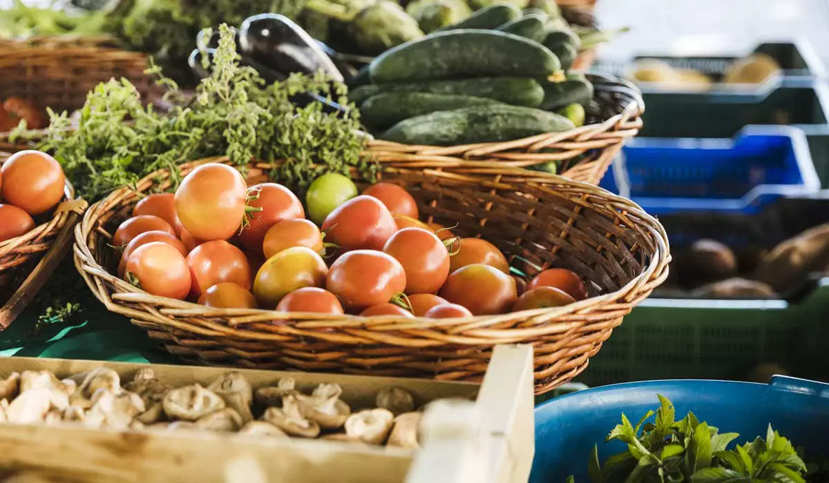 «Зеленые коридоры» запустят для импорта овощей в Казахстане