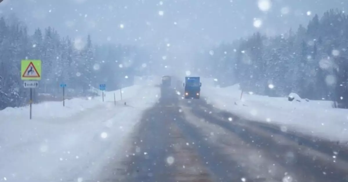  Батыс Қазақстанда көлік қозғалысына шектеу қойылды 